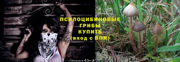 кокс Нея