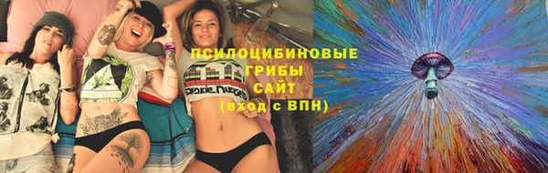 соль ск Нефтегорск