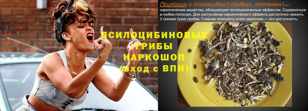 молекула духа Наволоки