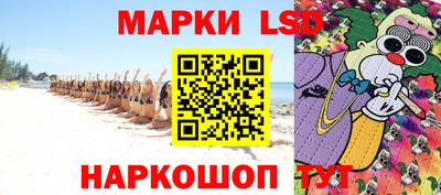 гашик Камышлов