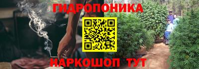 амф Канаш