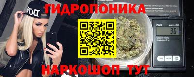 амф Канаш