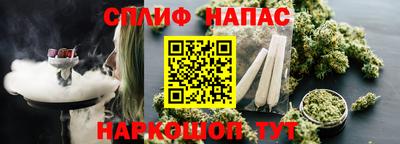 гашик Камышлов