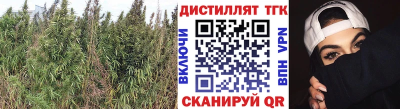 ТГК концентрат  Курчатов 